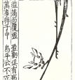 Sung Po-jen